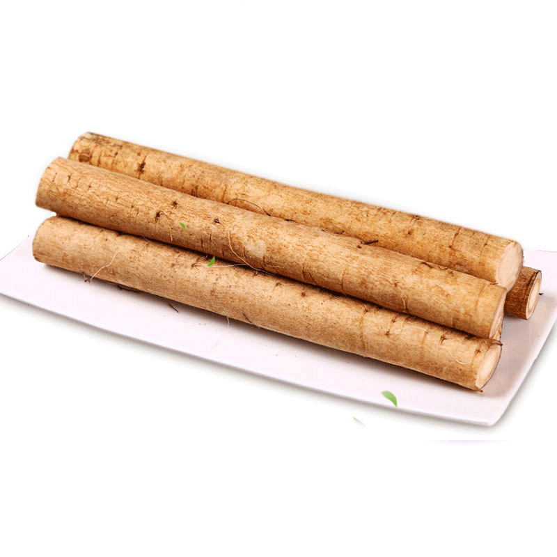 青尊园牛蒡根新鲜 徐州养生蔬菜黄金牛蒡根茶原料牛棒根旁榜鲜牛膀磅