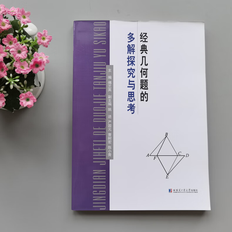现货 哈工大 经典几何题的多解探究与思考 傅兰英 中小学教辅书籍 哈尔滨工业大学