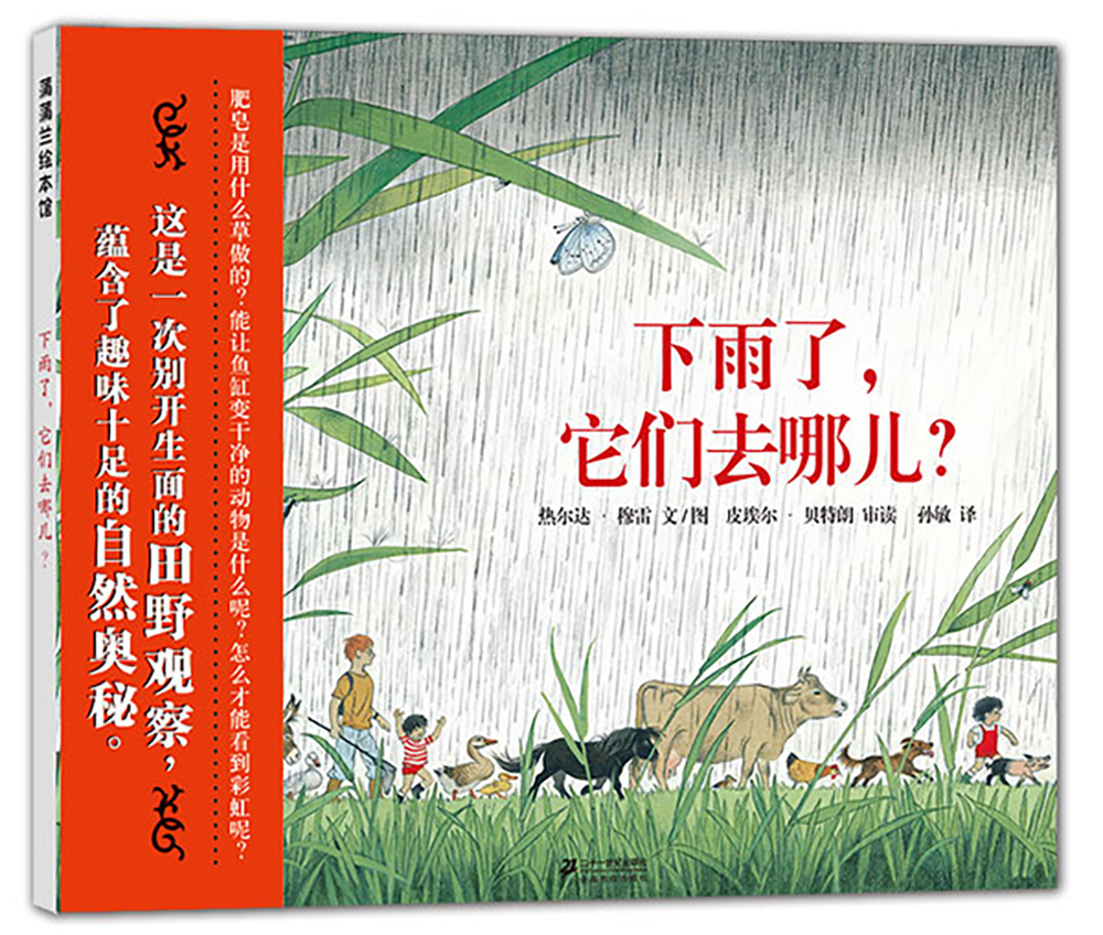 下雨了，它们去哪儿？ 让孩子学会观察环境的自然故事绘本 3-6岁蒲蒲兰绘本