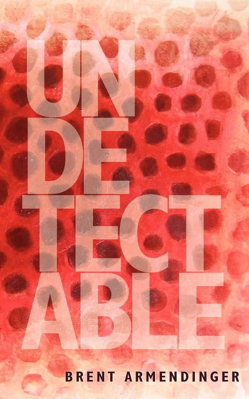 【2周达】【预售 按需印刷】undetectable