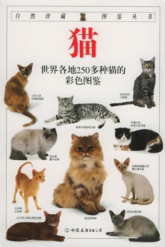 自然珍藏图鉴丛书:猫 [英] 阿尔德顿（Alderton D.） 著,猫头鹰出版社 译 中国友谊出版