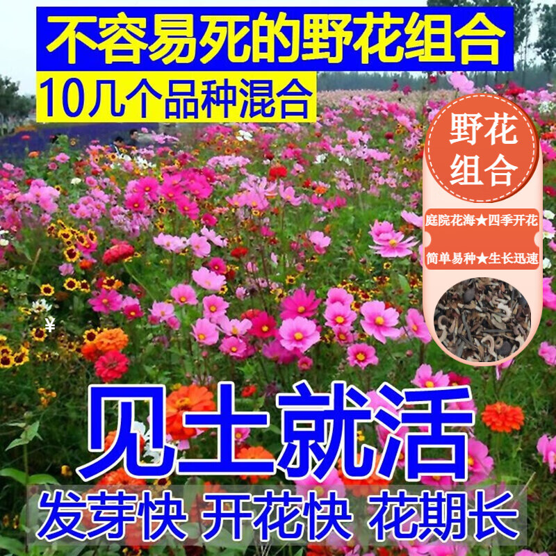 ����԰�ְ��ղ������ذ���վջ�������ļ������ݻ�������ͥԺ�׻���� ��϶�����Ұ�����2000��