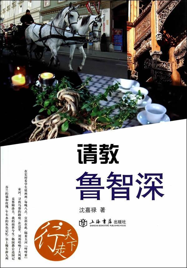 请教鲁智深 沈嘉禄 旅游/地图 9787545809213