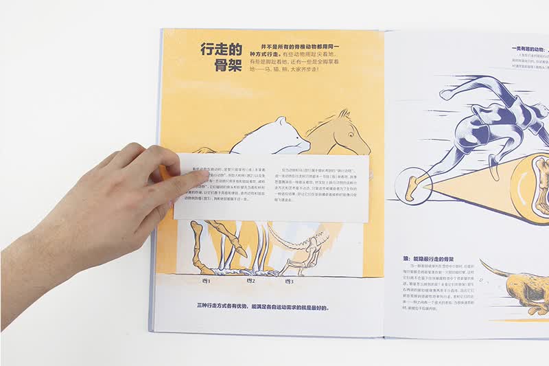 谁的骨头？详情图