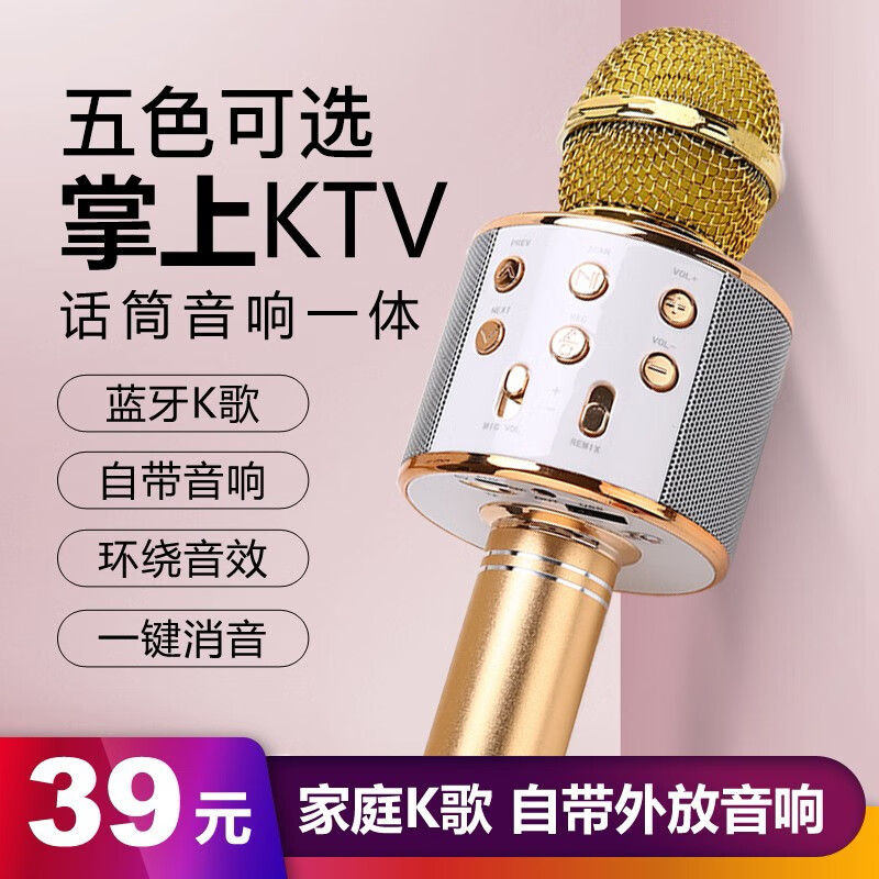 天一盛华 手机k歌麦克风音响话筒一体无线蓝牙麦克风 儿童麦克风 金色