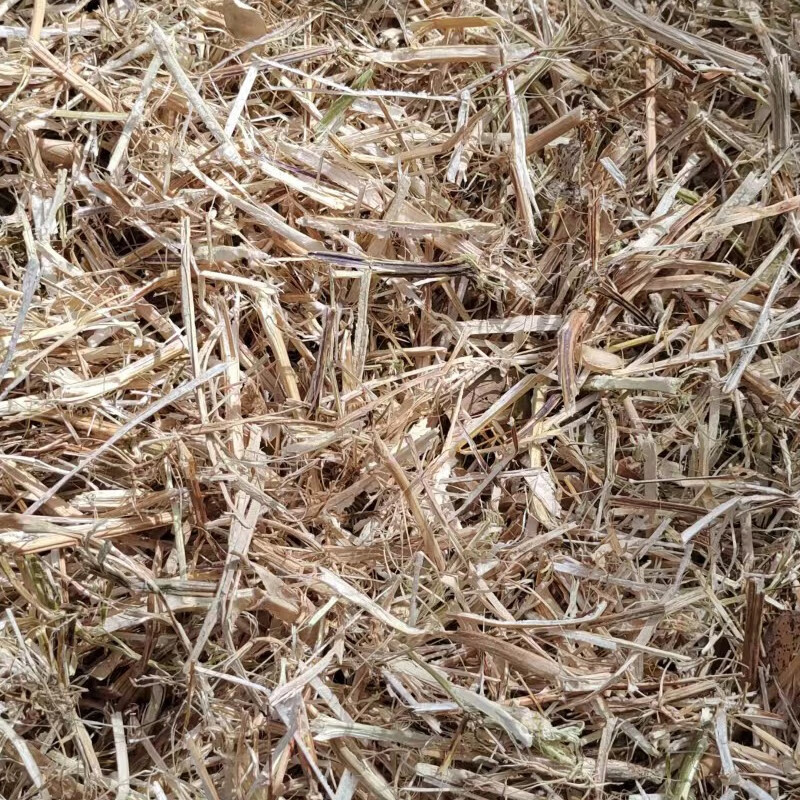 黄豆秸秆干草料牛羊马宠物牧草粉碎揉丝压块养殖饲料过冬 黄豆秸秆干