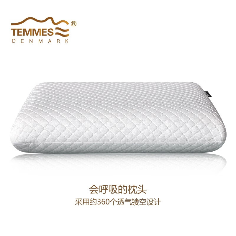 TEMMES 丹麦泰梅斯 记忆棉慢回弹颈椎护颈记忆枕深睡成人枕头枕芯 高分子滑爽冰丝 单只 软弹释压芯材