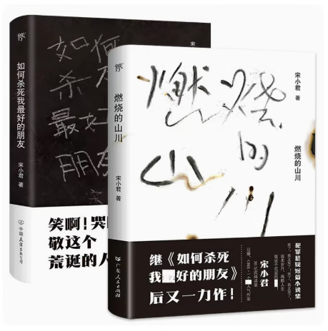 燃烧的山川+如何杀死我最好的朋友 共2册