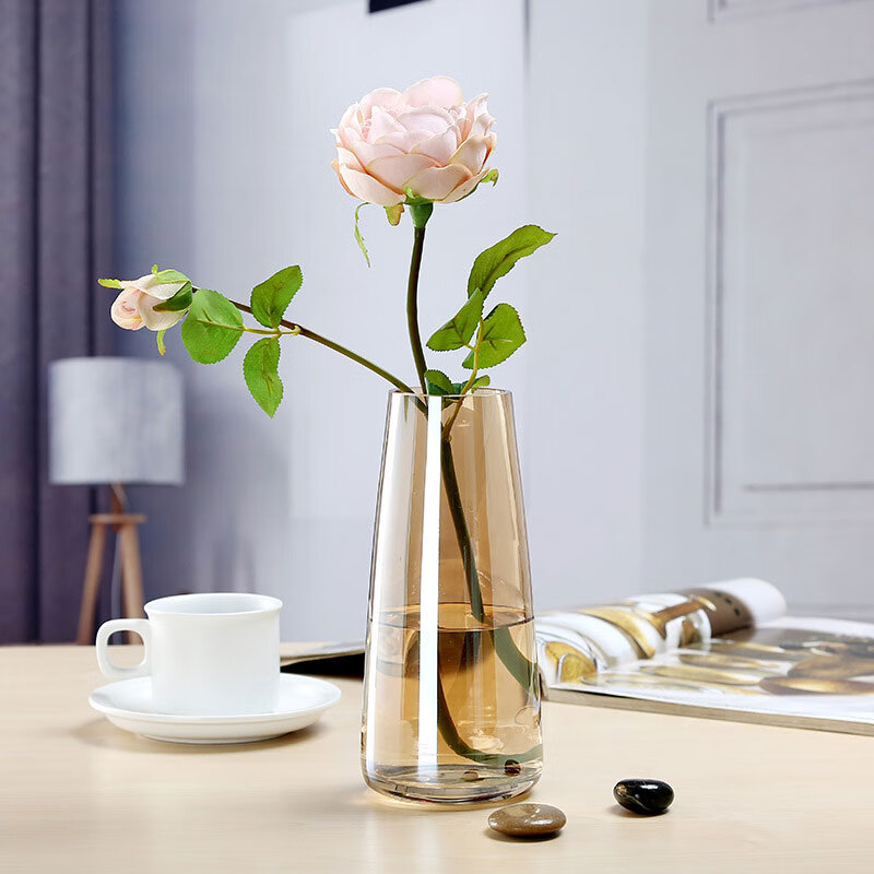 盛世泰堡 玻璃花瓶透明水养植物插花瓶富贵竹百合玫瑰水培容器大花瓶客厅桌面摆件 T形琥珀色22cm