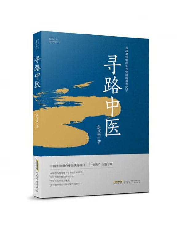 寻路中医