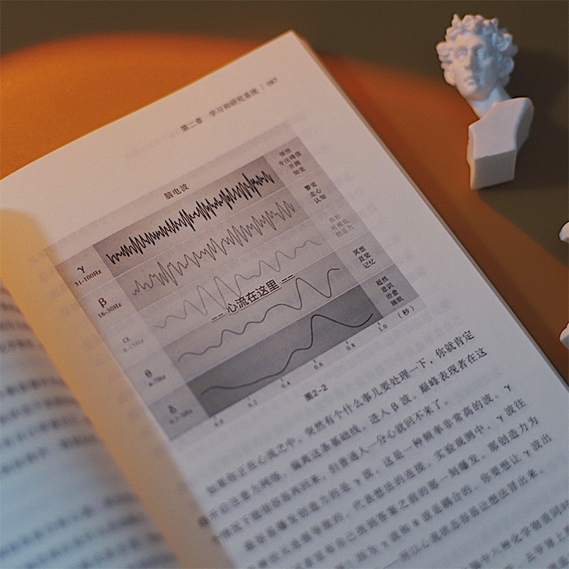 佛畏系统：用系统思维全面提升你的决策力（“中国好书”“文津图书奖”得主万维钢年度力作）得到图书