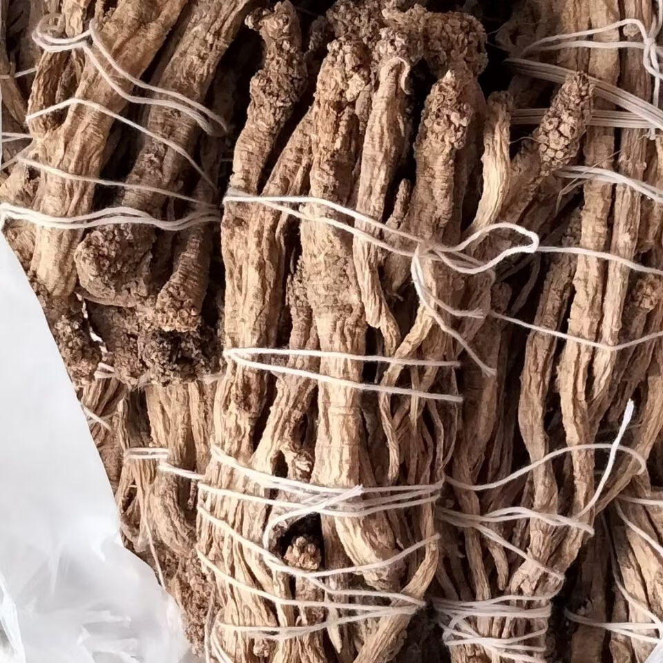 五台山党参 五台山野台参 张锡纯野台参 北台采挖500克野台参无硫