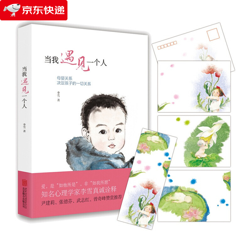 母婴关系 当我遇见一个人 李雪著 母婴关系决定孩子的一切关系 家庭教育育儿书籍 子关系儿童早教 心理