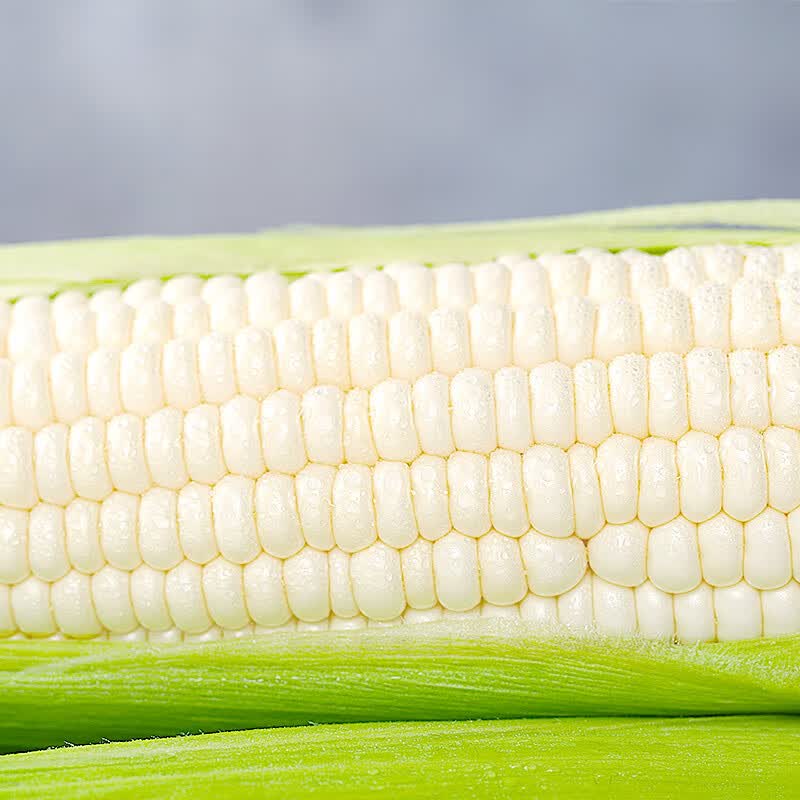 中鲜生白糯玉米新鲜玉米 单果200g+ 新鲜蔬菜甜玉米 源头直发包邮 净重5斤 【约5-8根】