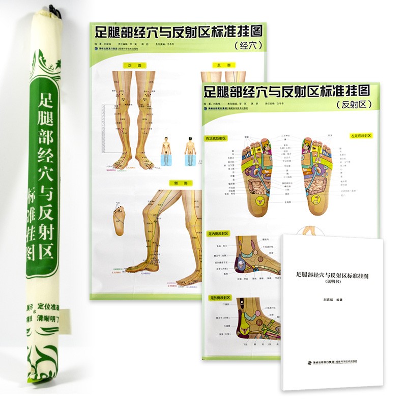【 5本包邮】足腿部经与反射区标准挂图图书籍