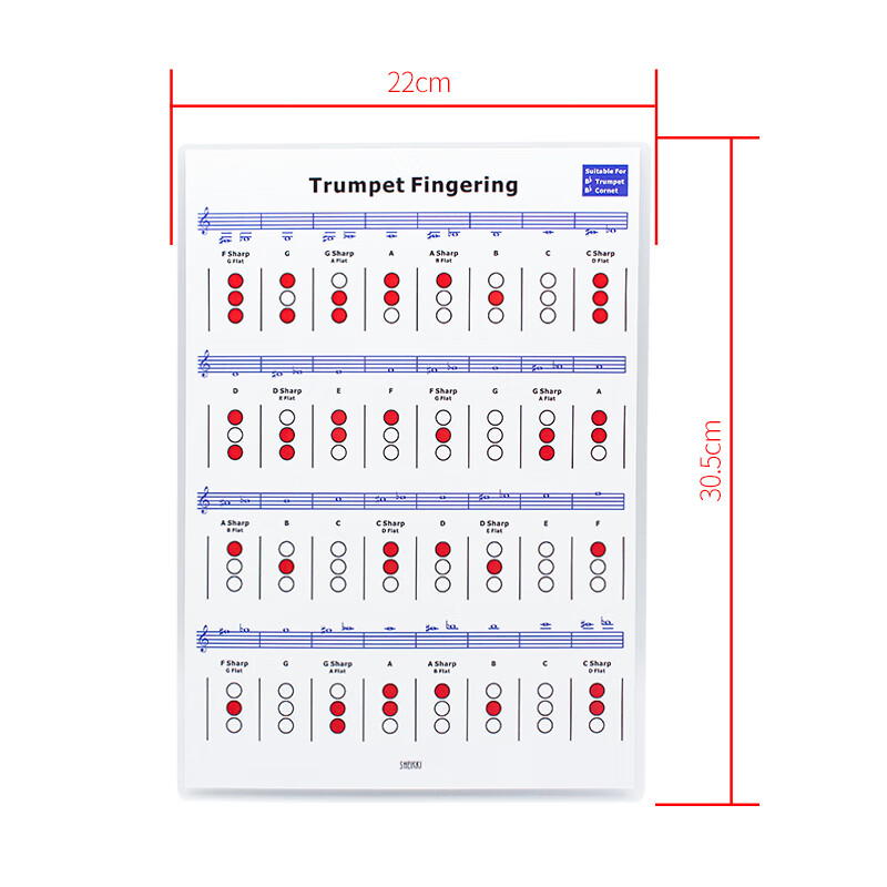 夏奇拉(sheikki) 专业萨克斯风指法图解 练习乐谱五线谱表自学即兴