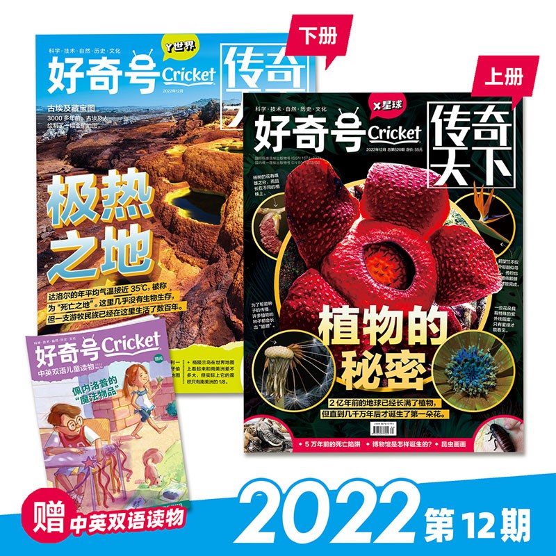 【2023年1-7月现货】好奇号 杂志2023年1/2/3/4/5/6/7期 打包 中文版美国Cricket Media期刊科学历史科普少儿科普杂志 中英双语 7-15岁 2022年12月【植物的秘密