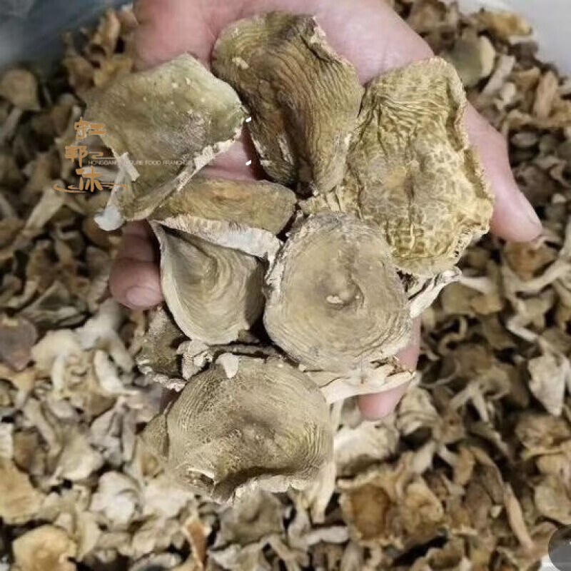 特产优联 青头菌干货木蘑菇梨菇云南野生菌新鲜青头松树菌新货 干青头