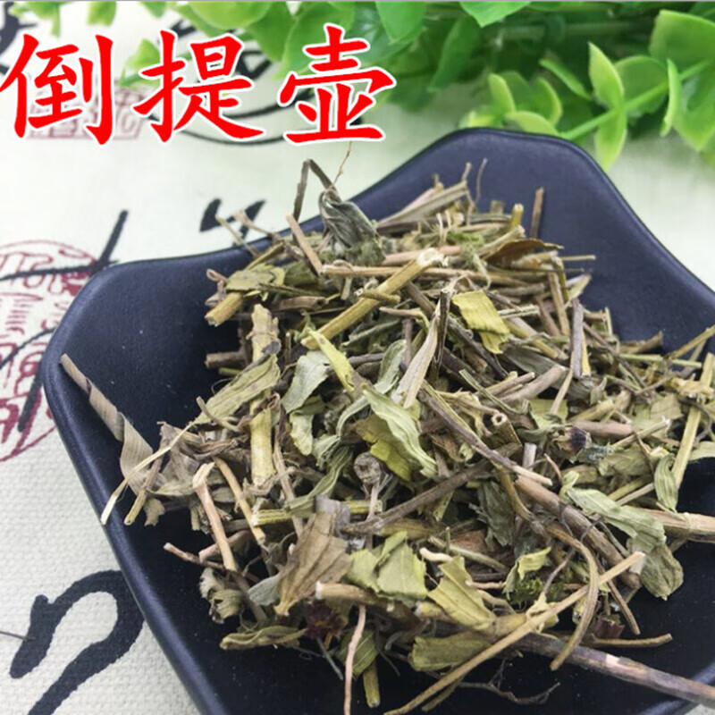 倒提壶 别名:蓝布裙 狗屎花 贴骨散 大肥根 500克 500g