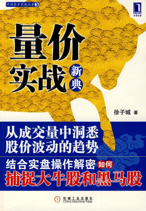 量价实战新典 徐子城著【正版】