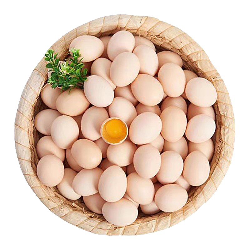 土鸡蛋 新鲜鸡蛋 农家散养土鸡蛋 柴鸡蛋草鸡蛋 10枚装