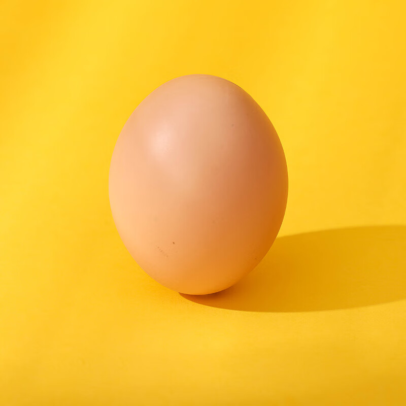 绿野客实心假鸡蛋 假鸡蛋 母鸡引蛋仿真蛋过家家幼儿园模型创意彩绘
