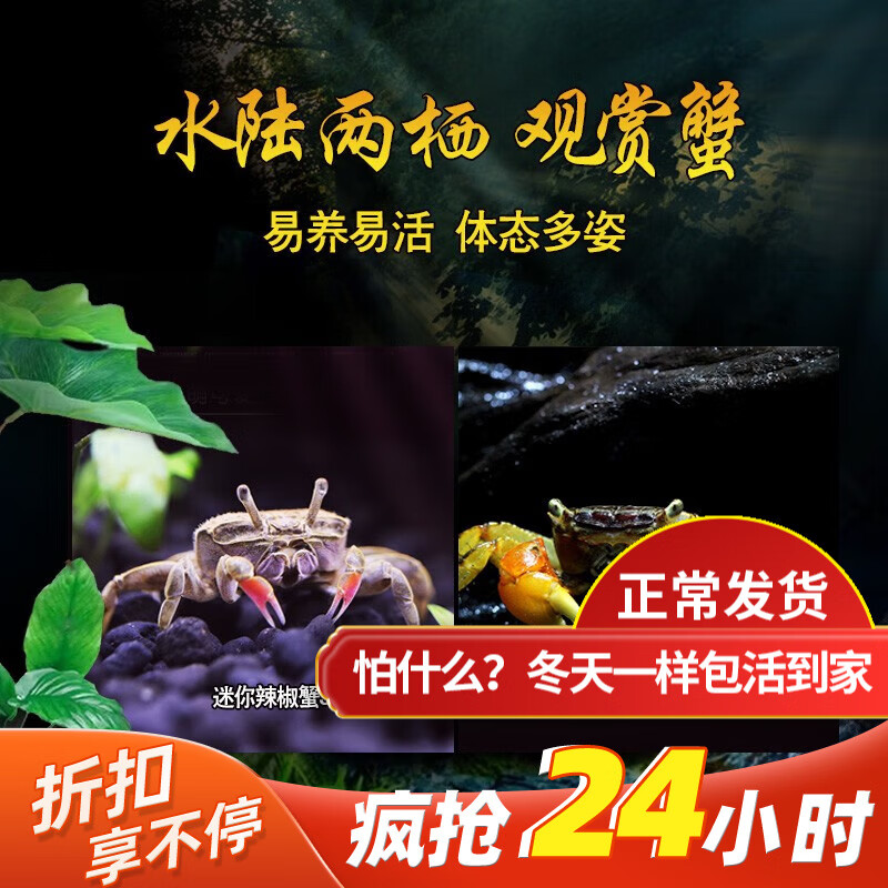 水族活体价格历史最低|水族活体价格走势图