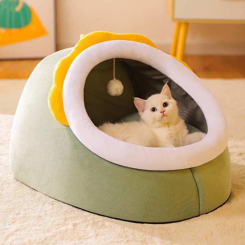 猫狗窝历史价格软件|猫狗窝价格走势图