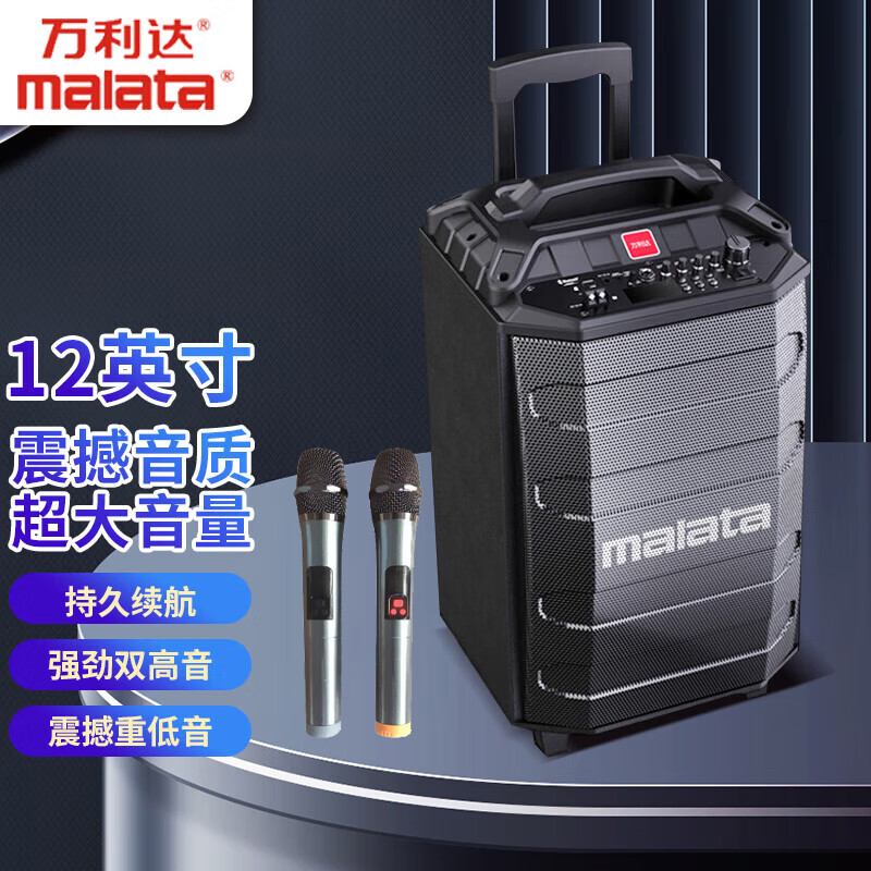 万利达（Malata）M+9039家庭家用k歌蓝牙大功率12英寸低音炮广场舞音响音箱户外移动便携式带双麦克风