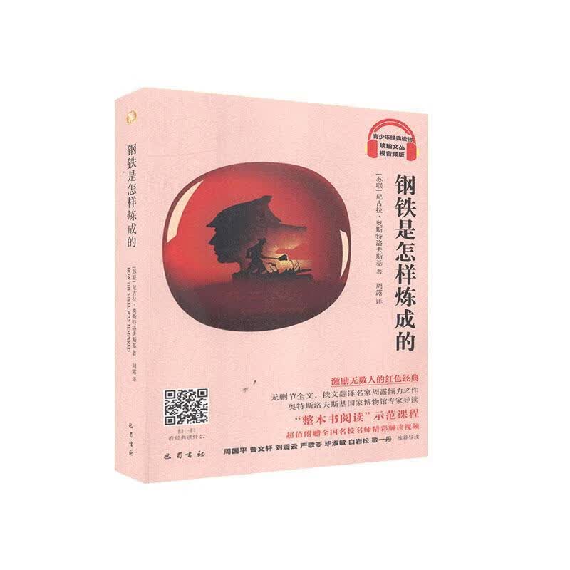 钢铁是怎样炼成的/尼古拉·奥斯特洛夫斯基/小说/9787553113401/书籍