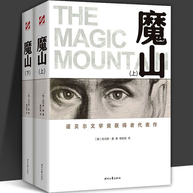 魔山(全2册) 杨武能 诺贝尔文学奖得主托马斯曼代表作 初高中学生课外阅读 世界名著文学外国小说书籍
