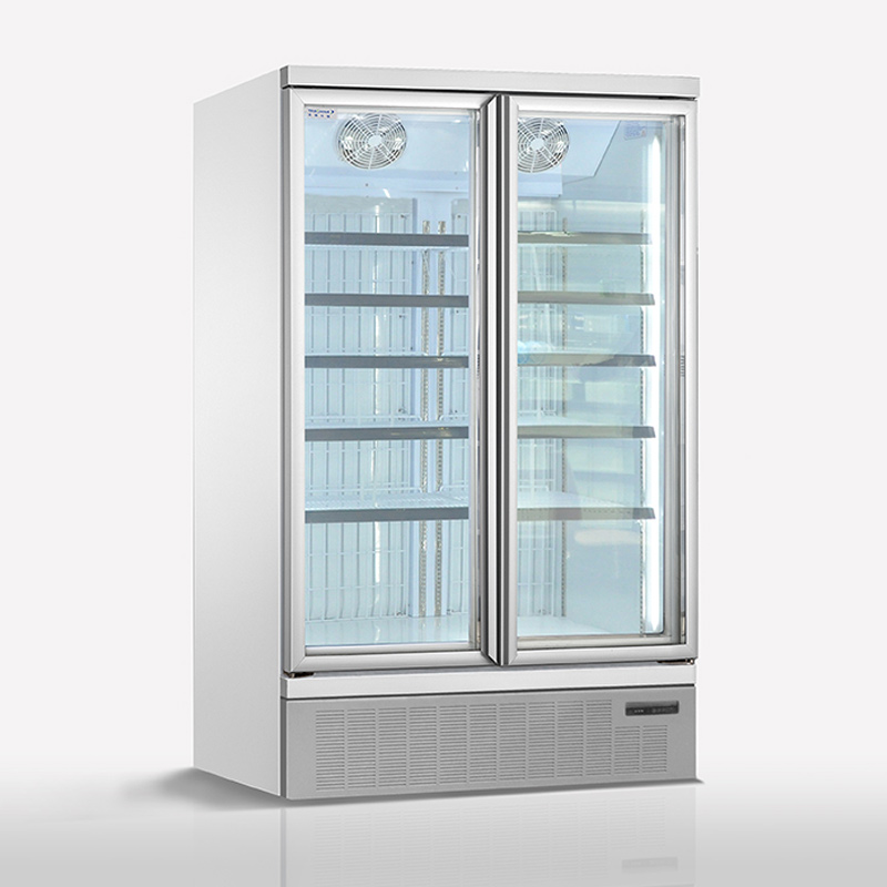 天翔冷链 双门冷藏柜超市便利店饮料展示柜风冷无霜立式冷柜带发热除