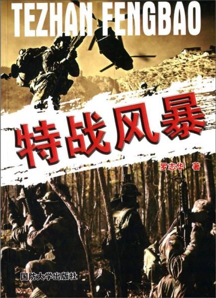 特战风暴