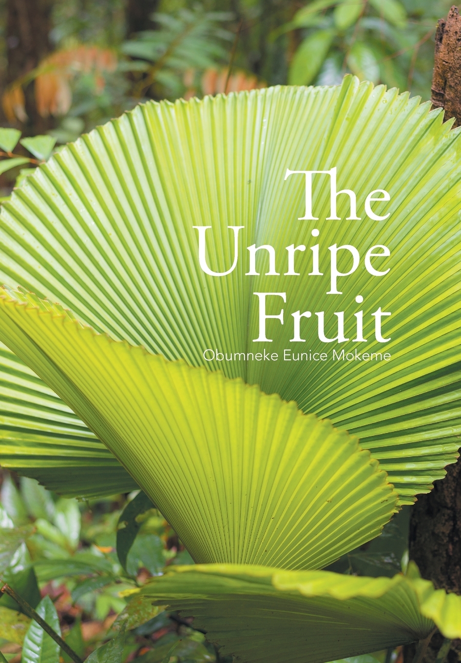 预售 按需印刷the unripe fruit