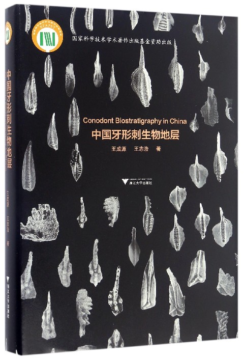 中国牙形刺生物地层(精)
