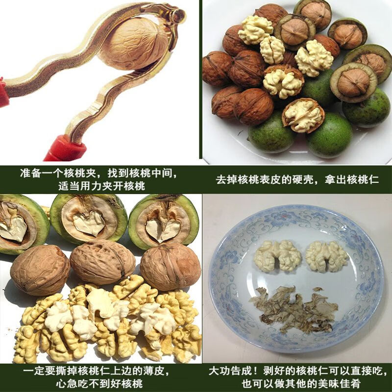 译蒙之味【顺丰】四川大凉山新鲜湿核桃去青皮核桃薄皮绿皮现摘生嫩山黑桃 净重5斤【核桃夹+网兜+彩箱】