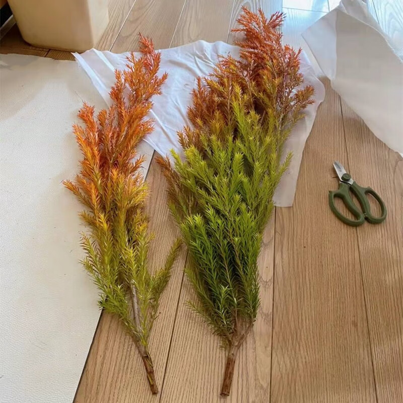 千层金 柳 香松 鲜切花 家庭插花云南昆地直发真花鲜花 千层金秋色一