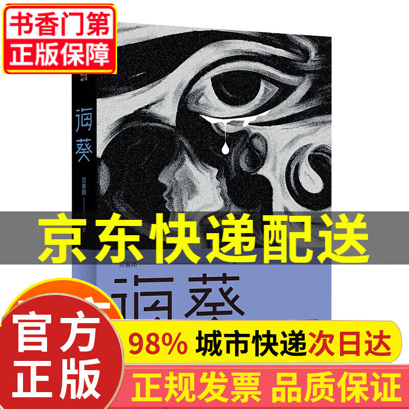 海葵《消失的孩子》原著小说 贝客邦 著 
