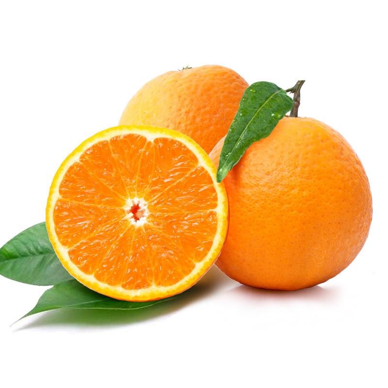 桔橘价格曲线查询|桔橘价格比较