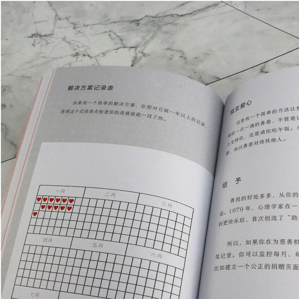 365天子弹笔记(风靡全球的神奇高效笔记法)详情图