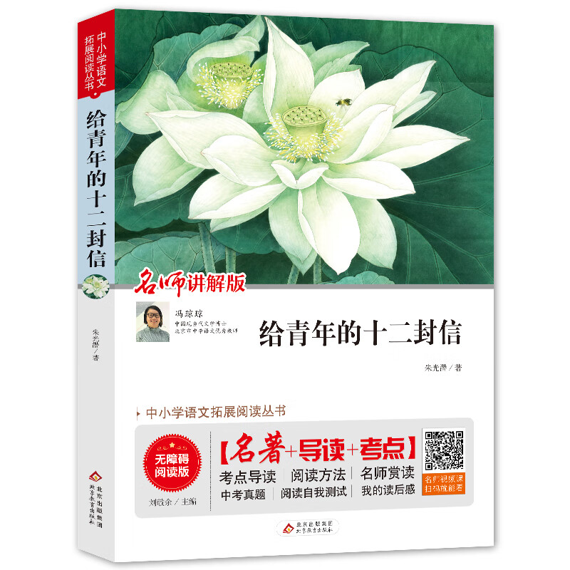给青年的十二封信整本书阅读（视频讲解版）中小学生课外阅读书籍儿童文学世界名著 无障碍阅读 考点导读+阅读方法+名师赏读 中小学生语文拓展阅读丛书