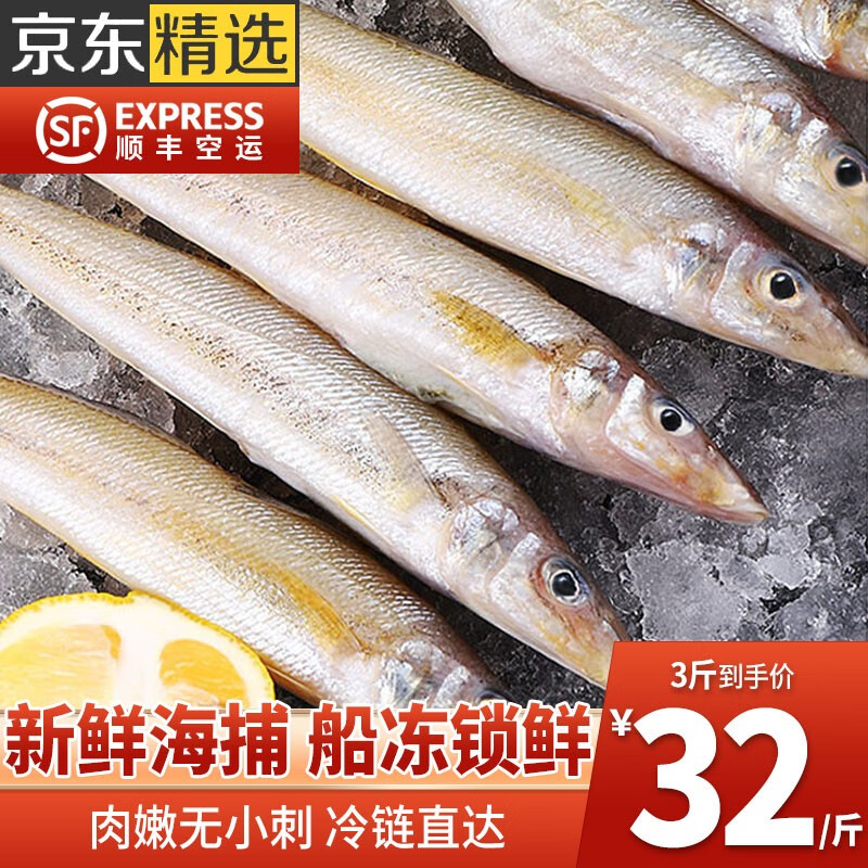 鲜渔翁沙丁鱼新鲜海捕深海鱼 鲜活冷冻速冻3斤冰鲜海鲜水产烧烤食材 3