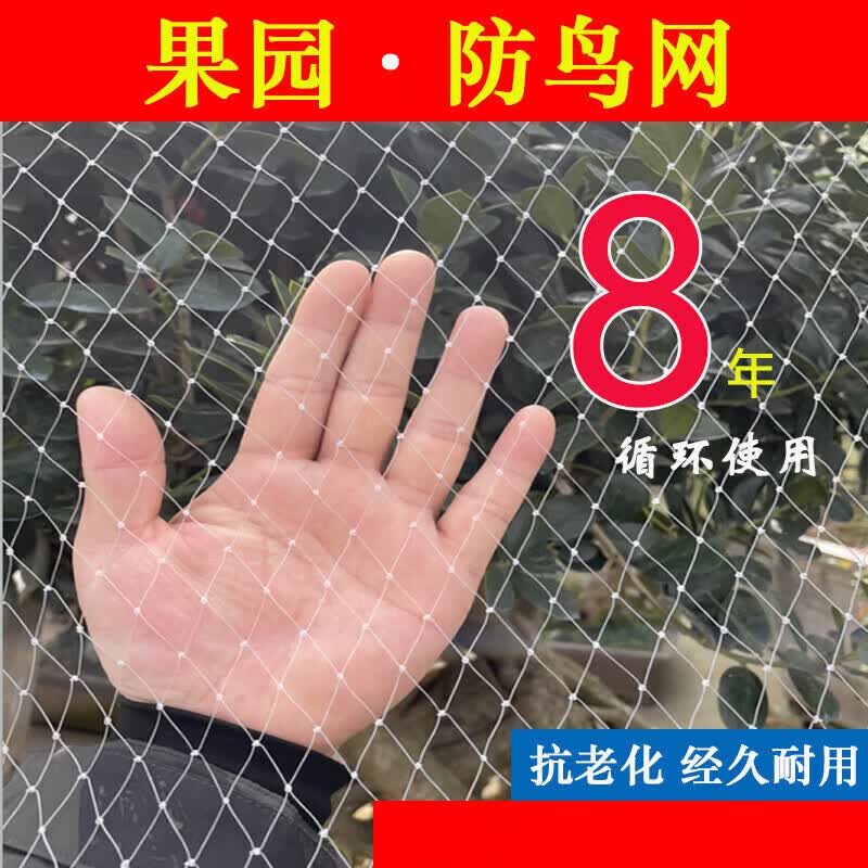 晗畅尼龙防鸟网大棚果树樱桃葡萄梨树果园防鸟用的网泥鳅养殖鱼塘天网