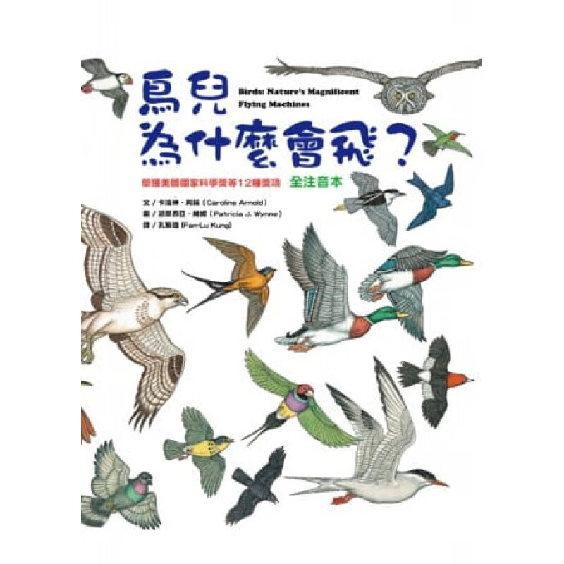 预订台版 鸟儿为什么会飞描绘鸟类飞行的科学原理知识教育自然科普百科大全
