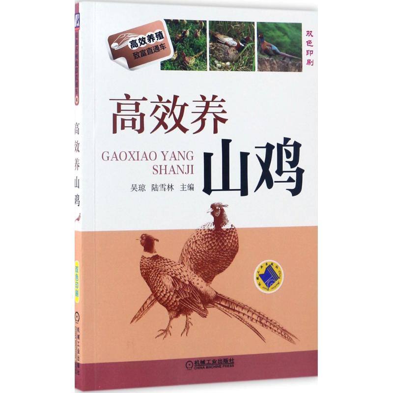 高效养山鸡