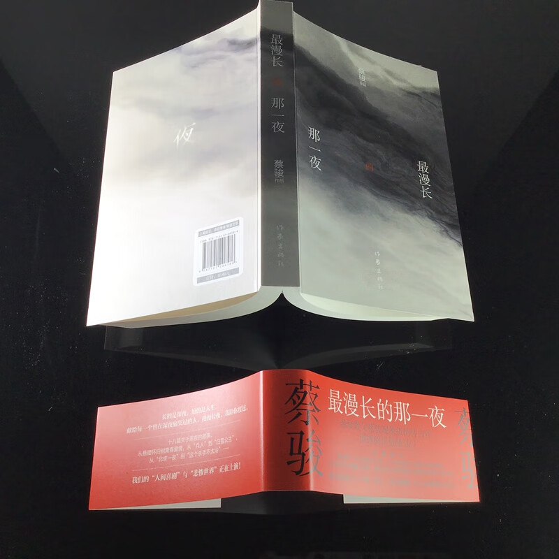 最漫长的那一夜 蔡骏悬疑小说 都市暗夜版《一千零一夜》