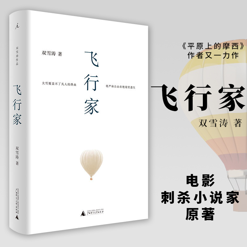 飞行家【刺杀小说家原著】 双雪涛著 平原