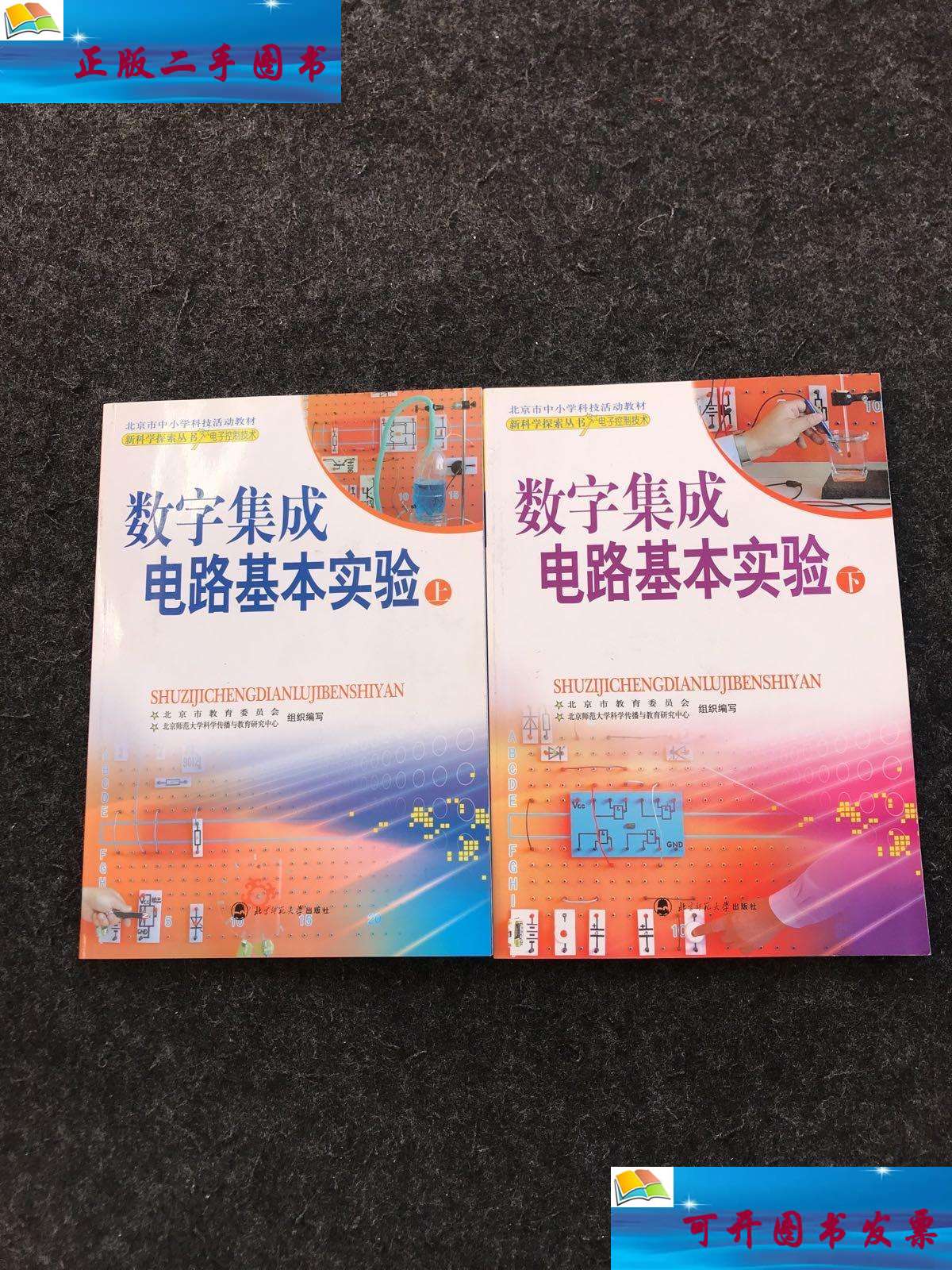 【二手9成新】数字集成电路基础实验(上下)附光盘 /李亦菲 北京师范大