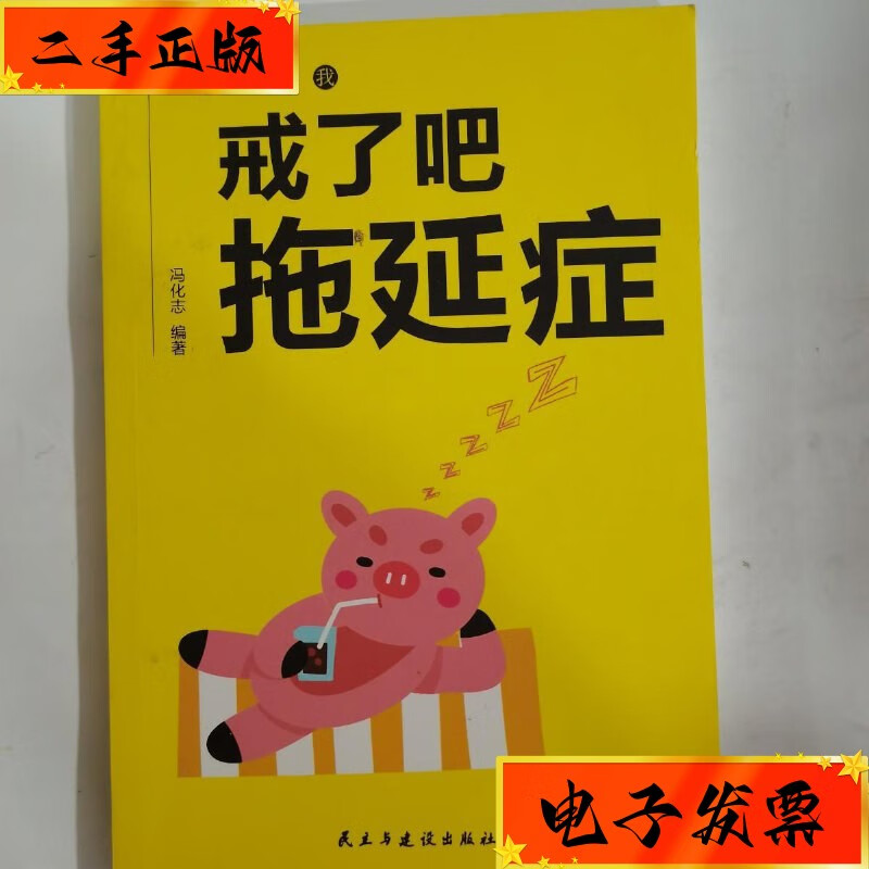 【二手九成新】戒了吧 拖延症 团结出版社