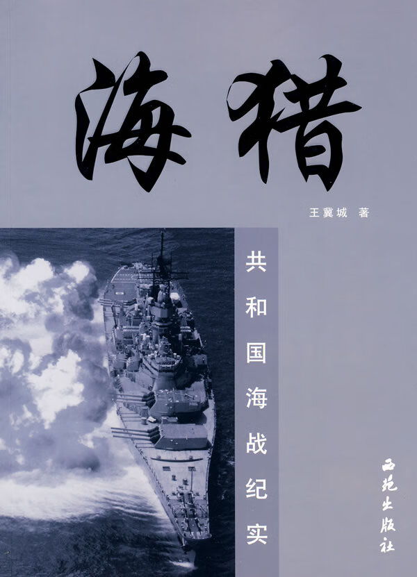 海猎－共和国海战纪实 王冀城 著【正版书】